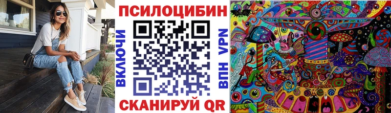 мориарти клад  Покров  Псилоцибиновые грибы Psilocybe 